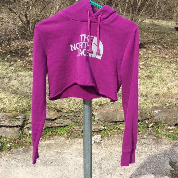 The North Face crop hoodie sweatshirt. - Picture 8 of 8